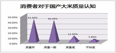 袁禾大米長沙市場營銷策劃方案