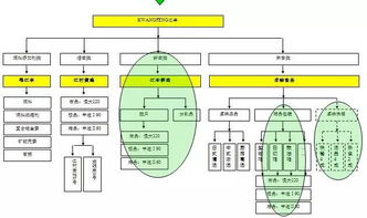 從養殖場到展示臺 中擂品牌策劃賦能江豐實業肉雞全產業鏈整合營銷